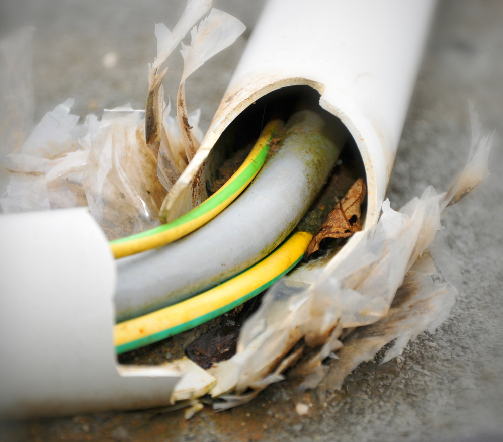 Image of damaged wiring.